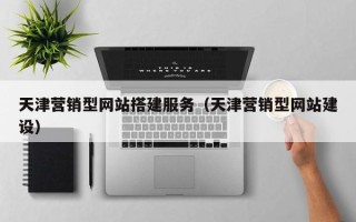天长天津营销型网站搭建服务（天津营销型网站建设）