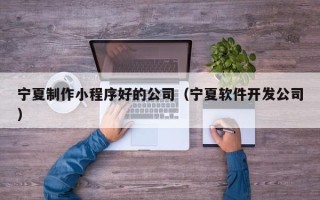 天长宁夏制作小程序好的公司（宁夏软件开发公司）