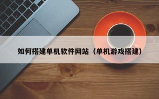 天长如何搭建单机软件网站（单机游戏搭建）